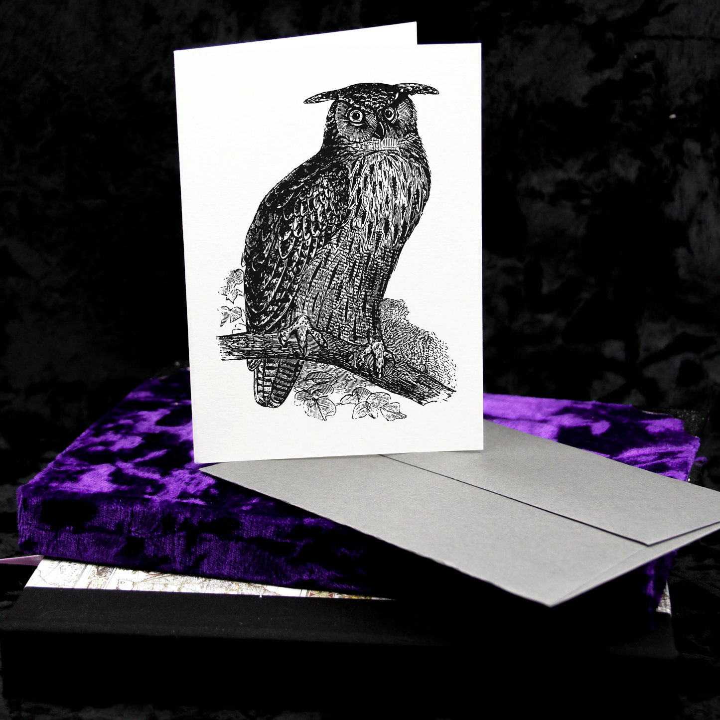 cartes de notes hibou vintage | Cela semble familier