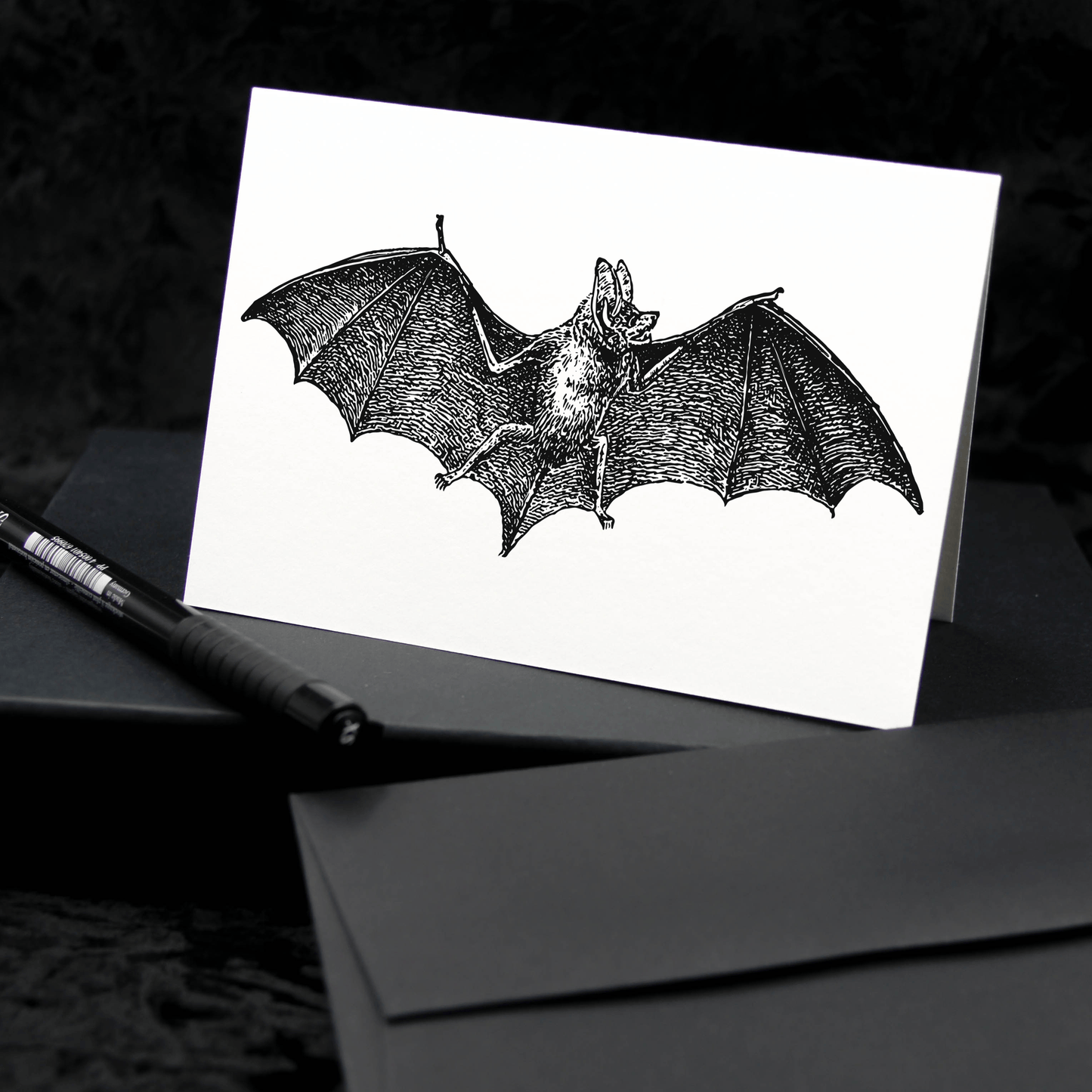 Vintage Bat Notecards | Seems Familiar
