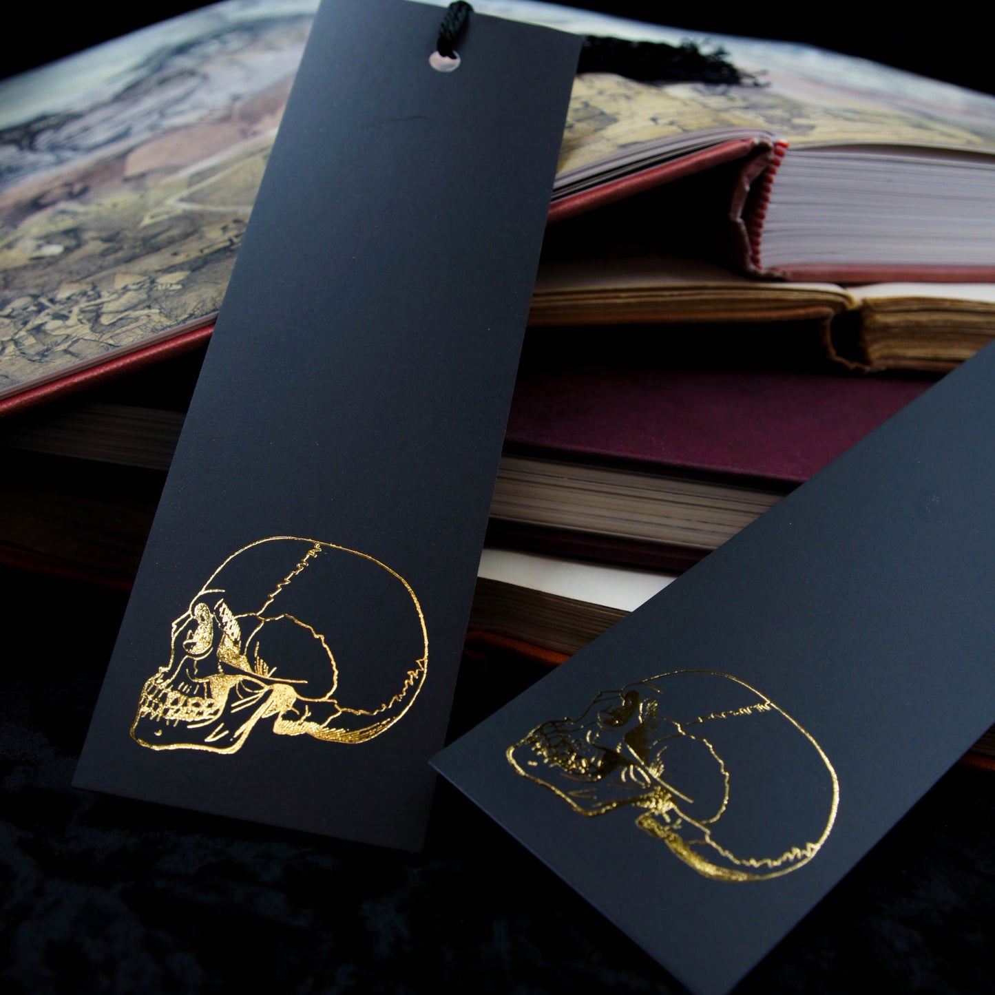 Vintage Skull Foiled Bookmark - Anatomy